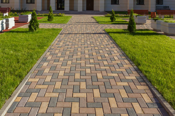 Best Driveway Paving Contractor  in Tonopah, NV